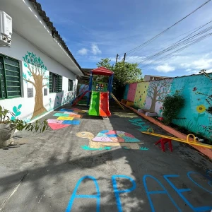Associação de Pais e Amigos dos Excepcionais-APAE