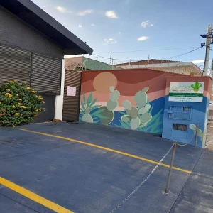 Cacto - Espaço Terapeutico