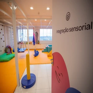 Terapeuta Ocupacional Larissa Froelich