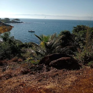 Apae São Sebastião