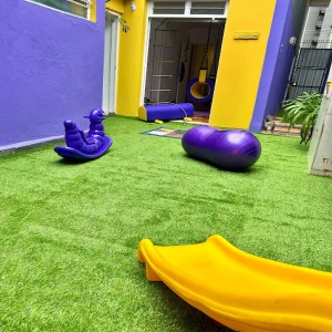 Terapeuta Ocupacional Vivian Gaona
