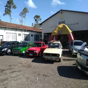 APAE - Associação Pais Amigos Excepcionais